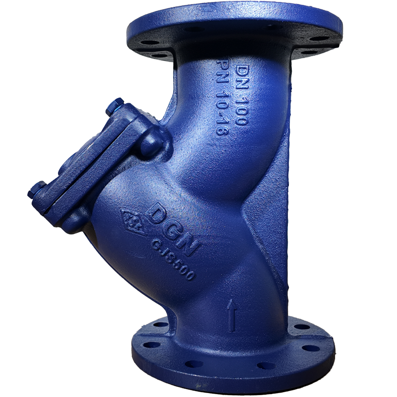 DN100 Strainer