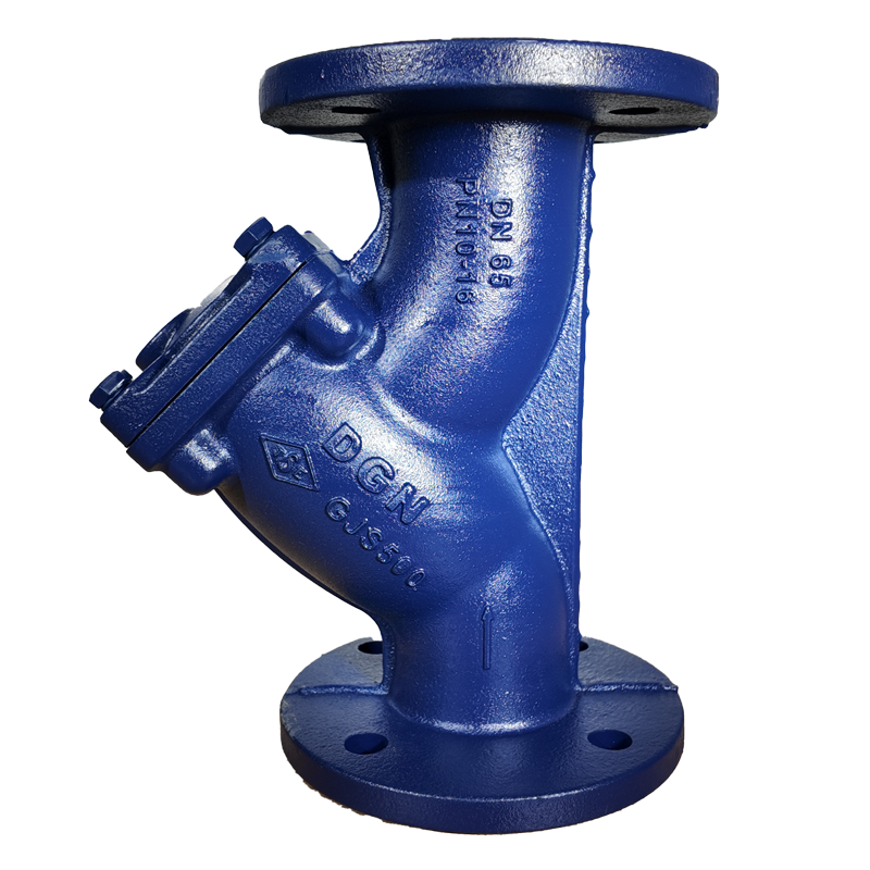 DN65 Strainer